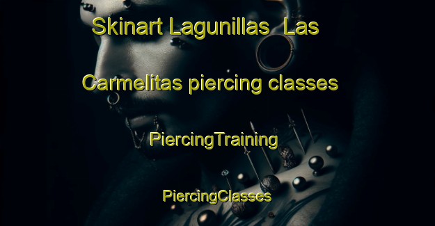 Skinart Lagunillas  Las Carmelitas piercing classes | #PiercingTraining #PiercingClasses #SkinartTraining-Mexico