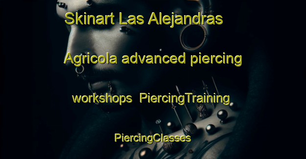 Skinart Las Alejandras  Agricola advanced piercing workshops | #PiercingTraining #PiercingClasses #SkinartTraining-Mexico