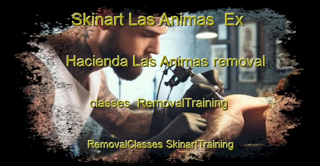 Skinart Las Animas  Ex Hacienda Las Animas removal classes | #RemovalTraining #RemovalClasses #SkinartTraining-Mexico