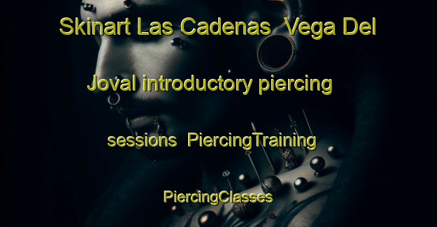 Skinart Las Cadenas  Vega Del Joval introductory piercing sessions | #PiercingTraining #PiercingClasses #SkinartTraining-Mexico