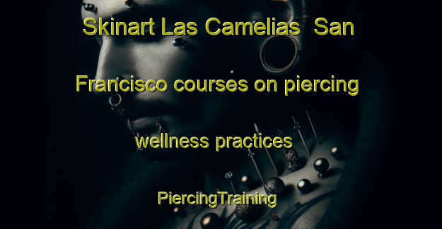 Skinart Las Camelias  San Francisco courses on piercing wellness practices | #PiercingTraining #PiercingClasses #SkinartTraining-Mexico