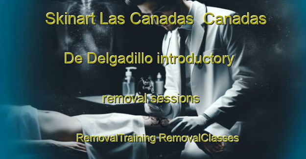 Skinart Las Canadas  Canadas De Delgadillo introductory removal sessions | #RemovalTraining #RemovalClasses #SkinartTraining-Mexico