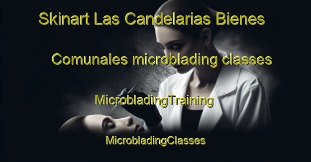 Skinart Las Candelarias Bienes Comunales microblading classes | #MicrobladingTraining #MicrobladingClasses #SkinartTraining-Mexico