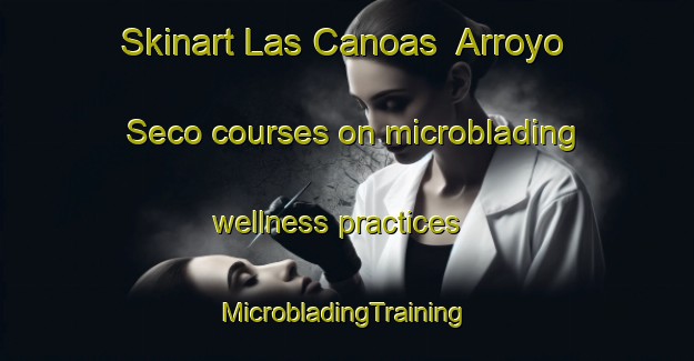 Skinart Las Canoas  Arroyo Seco courses on microblading wellness practices | #MicrobladingTraining #MicrobladingClasses #SkinartTraining-Mexico