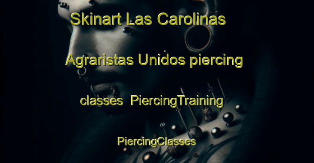 Skinart Las Carolinas  Agraristas Unidos piercing classes | #PiercingTraining #PiercingClasses #SkinartTraining-Mexico