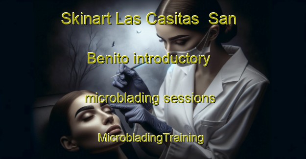 Skinart Las Casitas  San Benito introductory microblading sessions | #MicrobladingTraining #MicrobladingClasses #SkinartTraining-Mexico