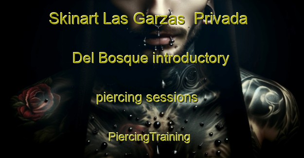 Skinart Las Garzas  Privada Del Bosque introductory piercing sessions | #PiercingTraining #PiercingClasses #SkinartTraining-Mexico