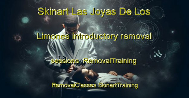 Skinart Las Joyas De Los Limones introductory removal sessions | #RemovalTraining #RemovalClasses #SkinartTraining-Mexico