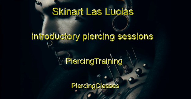 Skinart Las Lucias introductory piercing sessions | #PiercingTraining #PiercingClasses #SkinartTraining-Mexico