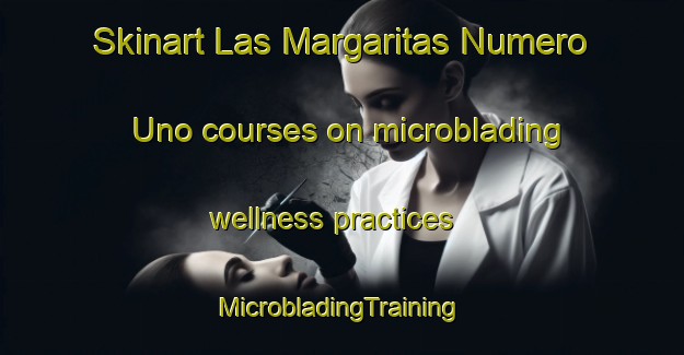 Skinart Las Margaritas Numero Uno courses on microblading wellness practices | #MicrobladingTraining #MicrobladingClasses #SkinartTraining-Mexico