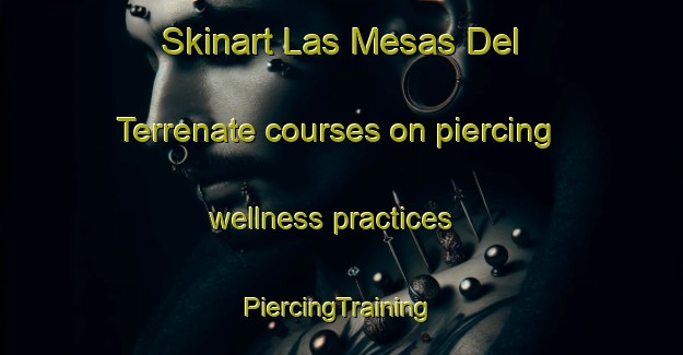 Skinart Las Mesas Del Terrenate courses on piercing wellness practices | #PiercingTraining #PiercingClasses #SkinartTraining-Mexico