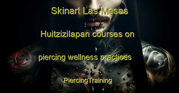 Skinart Las Mesas Huitzizilapan courses on piercing wellness practices | #PiercingTraining #PiercingClasses #SkinartTraining-Mexico