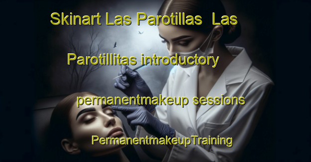 Skinart Las Parotillas  Las Parotillitas introductory permanentmakeup sessions | #PermanentmakeupTraining #PermanentmakeupClasses #SkinartTraining-Mexico