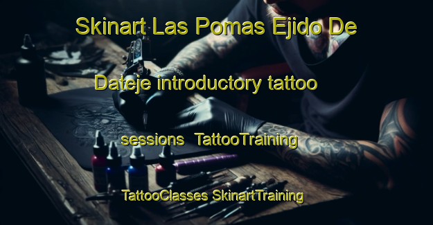 Skinart Las Pomas Ejido De Dateje introductory tattoo sessions | #TattooTraining #TattooClasses #SkinartTraining-Mexico