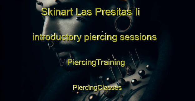 Skinart Las Presitas Ii introductory piercing sessions | #PiercingTraining #PiercingClasses #SkinartTraining-Mexico