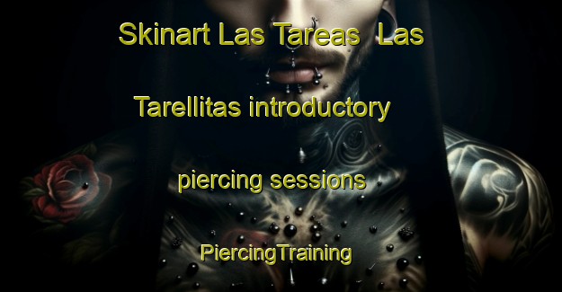 Skinart Las Tareas  Las Tarellitas introductory piercing sessions | #PiercingTraining #PiercingClasses #SkinartTraining-Mexico