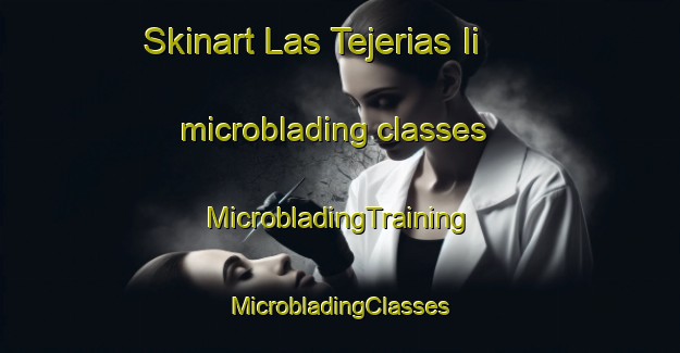 Skinart Las Tejerias Ii microblading classes | #MicrobladingTraining #MicrobladingClasses #SkinartTraining-Mexico