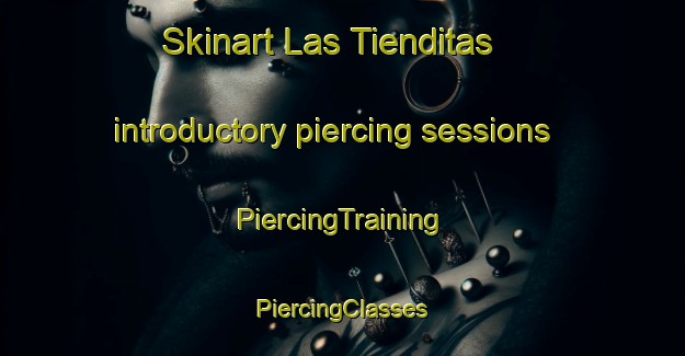 Skinart Las Tienditas introductory piercing sessions | #PiercingTraining #PiercingClasses #SkinartTraining-Mexico