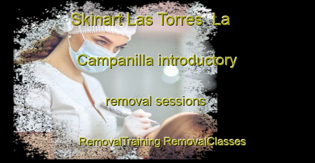 Skinart Las Torres  La Campanilla introductory removal sessions | #RemovalTraining #RemovalClasses #SkinartTraining-Mexico