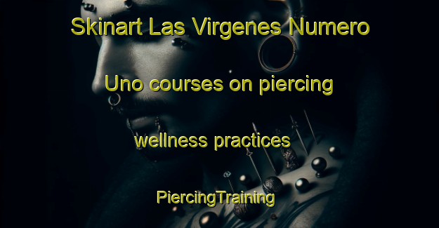 Skinart Las Virgenes Numero Uno courses on piercing wellness practices | #PiercingTraining #PiercingClasses #SkinartTraining-Mexico