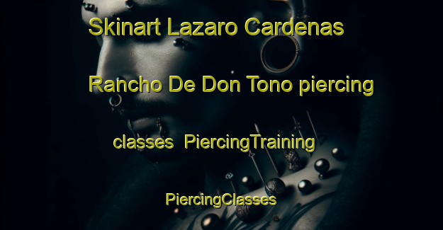 Skinart Lazaro Cardenas  Rancho De Don Tono piercing classes | #PiercingTraining #PiercingClasses #SkinartTraining-Mexico