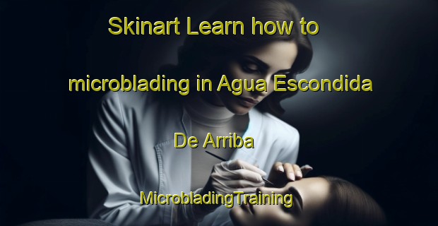 Skinart Learn how to microblading in Agua Escondida De Arriba | #MicrobladingTraining #MicrobladingClasses #SkinartTraining-Mexico