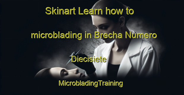 Skinart Learn how to microblading in Brecha Numero Diecisiete | #MicrobladingTraining #MicrobladingClasses #SkinartTraining-Mexico