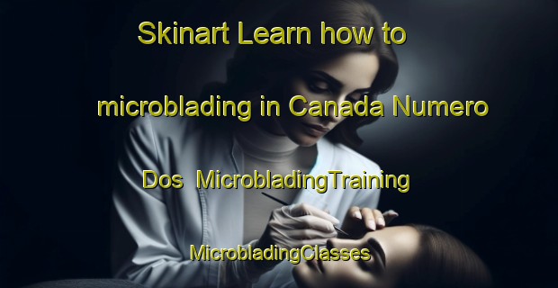 Skinart Learn how to microblading in Canada Numero Dos | #MicrobladingTraining #MicrobladingClasses #SkinartTraining-Mexico