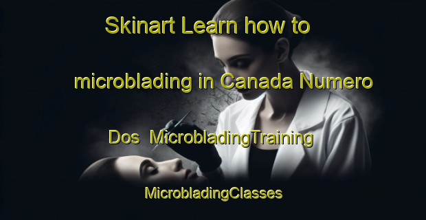 Skinart Learn how to microblading in Canada Numero Dos | #MicrobladingTraining #MicrobladingClasses #SkinartTraining-Mexico