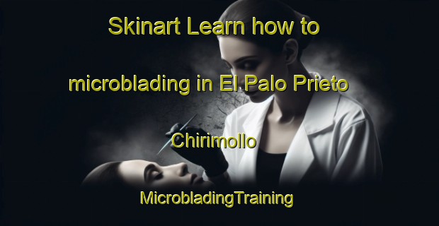 Skinart Learn how to microblading in El Palo Prieto  Chirimollo | #MicrobladingTraining #MicrobladingClasses #SkinartTraining-Mexico