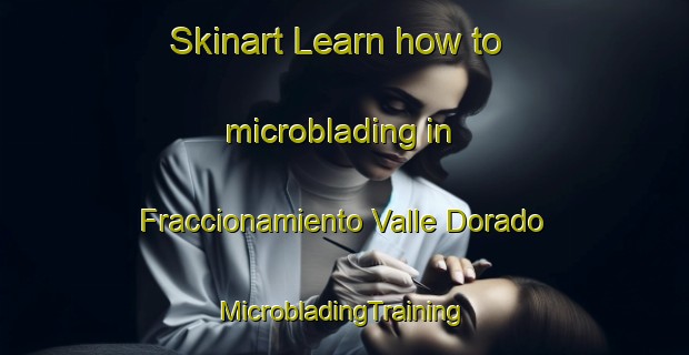 Skinart Learn how to microblading in Fraccionamiento Valle Dorado | #MicrobladingTraining #MicrobladingClasses #SkinartTraining-Mexico