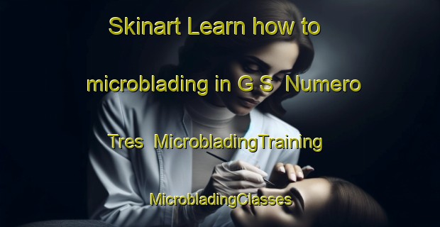 Skinart Learn how to microblading in G S  Numero Tres | #MicrobladingTraining #MicrobladingClasses #SkinartTraining-Mexico