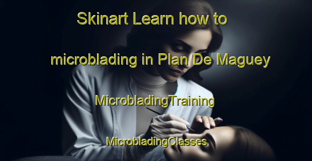 Skinart Learn how to microblading in Plan De Maguey | #MicrobladingTraining #MicrobladingClasses #SkinartTraining-Mexico