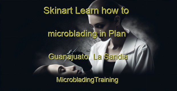 Skinart Learn how to microblading in Plan Guanajuato  La Sandia | #MicrobladingTraining #MicrobladingClasses #SkinartTraining-Mexico