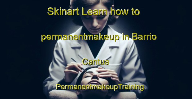 Skinart Learn how to permanentmakeup in Barrio Cantua | #PermanentmakeupTraining #PermanentmakeupClasses #SkinartTraining-Mexico