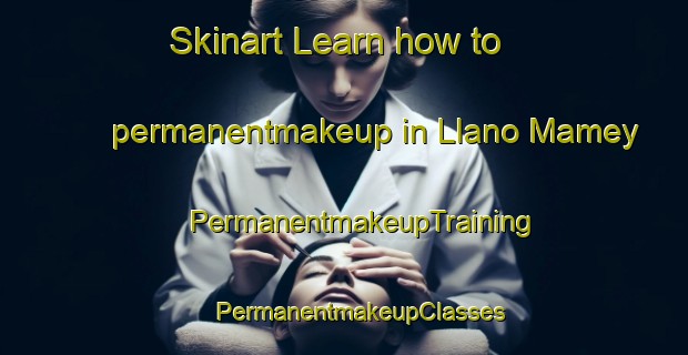 Skinart Learn how to permanentmakeup in Llano Mamey | #PermanentmakeupTraining #PermanentmakeupClasses #SkinartTraining-Mexico