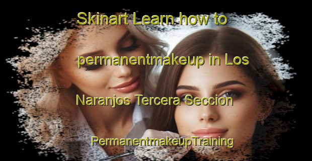 Skinart Learn how to permanentmakeup in Los Naranjos Tercera Seccion | #PermanentmakeupTraining #PermanentmakeupClasses #SkinartTraining-Mexico