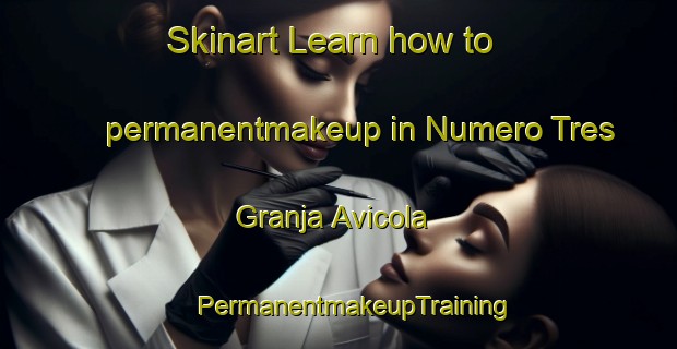 Skinart Learn how to permanentmakeup in Numero Tres  Granja Avicola | #PermanentmakeupTraining #PermanentmakeupClasses #SkinartTraining-Mexico