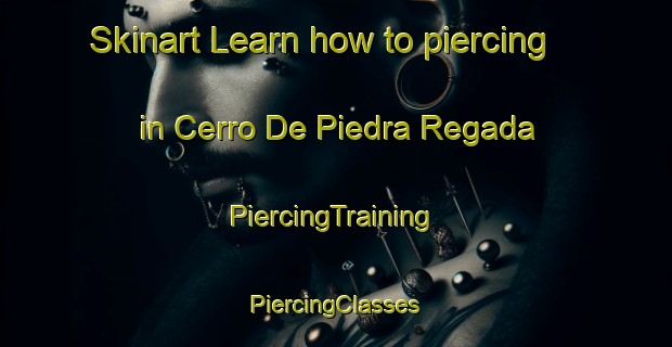 Skinart Learn how to piercing in Cerro De Piedra Regada | #PiercingTraining #PiercingClasses #SkinartTraining-Mexico