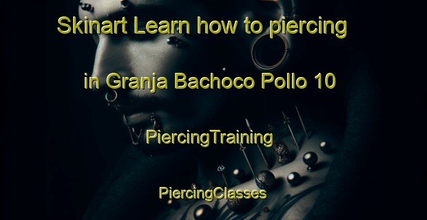 Skinart Learn how to piercing in Granja Bachoco Pollo 10 | #PiercingTraining #PiercingClasses #SkinartTraining-Mexico