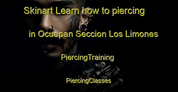 Skinart Learn how to piercing in Ocuapan Seccion Los Limones | #PiercingTraining #PiercingClasses #SkinartTraining-Mexico