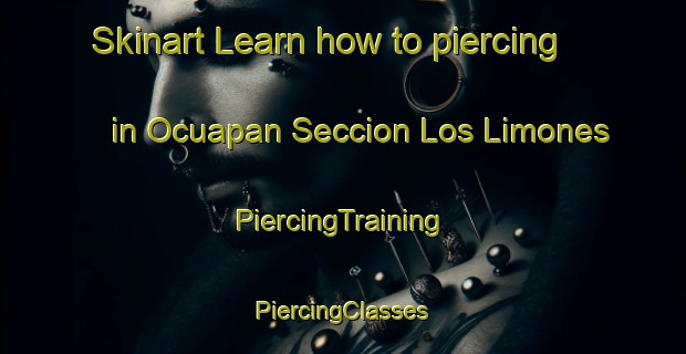 Skinart Learn how to piercing in Ocuapan Seccion Los Limones | #PiercingTraining #PiercingClasses #SkinartTraining-Mexico