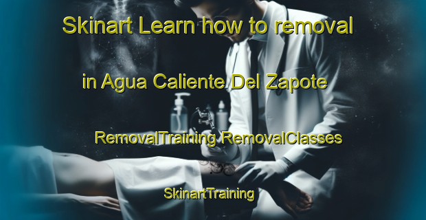 Skinart Learn how to removal in Agua Caliente Del Zapote | #RemovalTraining #RemovalClasses #SkinartTraining-Mexico