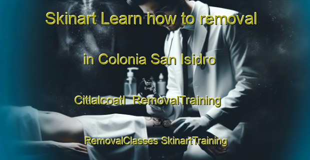 Skinart Learn how to removal in Colonia San Isidro Citlalcoatl | #RemovalTraining #RemovalClasses #SkinartTraining-Mexico