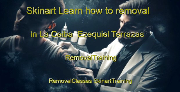 Skinart Learn how to removal in La Ceiba  Ezequiel Terrazas | #RemovalTraining #RemovalClasses #SkinartTraining-Mexico