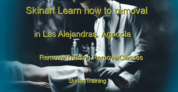 Skinart Learn how to removal in Las Alejandras  Agricola | #RemovalTraining #RemovalClasses #SkinartTraining-Mexico