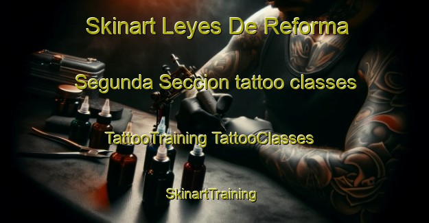 Skinart Leyes De Reforma Segunda Seccion tattoo classes | #TattooTraining #TattooClasses #SkinartTraining-Mexico