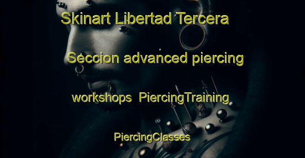 Skinart Libertad Tercera Seccion advanced piercing workshops | #PiercingTraining #PiercingClasses #SkinartTraining-Mexico