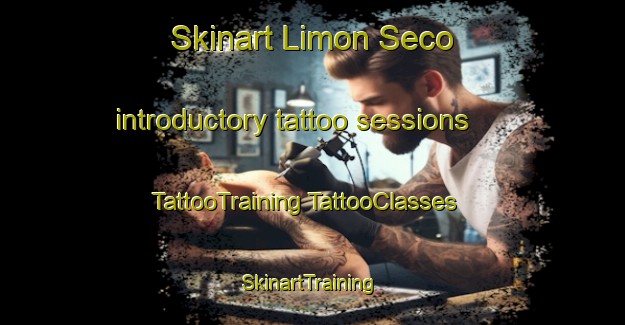 Skinart Limon Seco introductory tattoo sessions | #TattooTraining #TattooClasses #SkinartTraining-Mexico