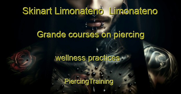 Skinart Limonateno  Limonateno Grande courses on piercing wellness practices | #PiercingTraining #PiercingClasses #SkinartTraining-Mexico